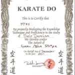 Brilliant Ideas For Martial Art Certificate Templates Free Within Free Art Certificate Templates