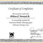 Brilliant Ideas For This Certificate Entitles The Bearer With This Certificate Entitles The Bearer Template