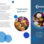 Brochures – Office Inside Tri Fold Brochure Publisher Template