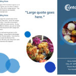 Brochures – Office With Brochure Template On Microsoft Word