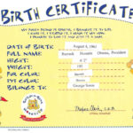 Build A Bear Certificate Clean Birth Certificate Template Intended For Build A Bear Birth Certificate Template