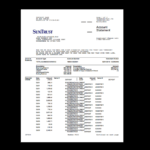 Business Bank Statement, Suntrust | My Shit In 2019 | Bank Throughout Blank Bank Statement Template Download