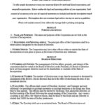 Business Or Nonprofit Bylaws Template With Corporate Bylaws Template Word