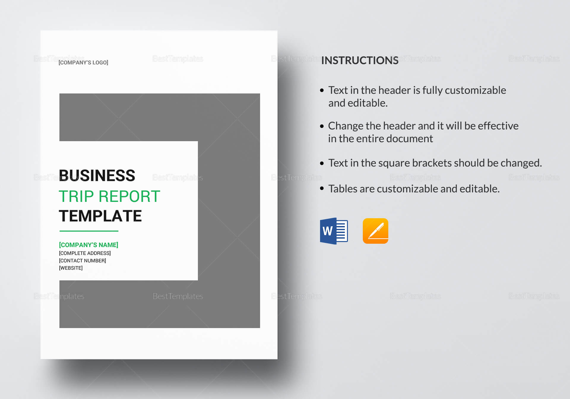 Business Trip Report Template For Business Trip Report Template