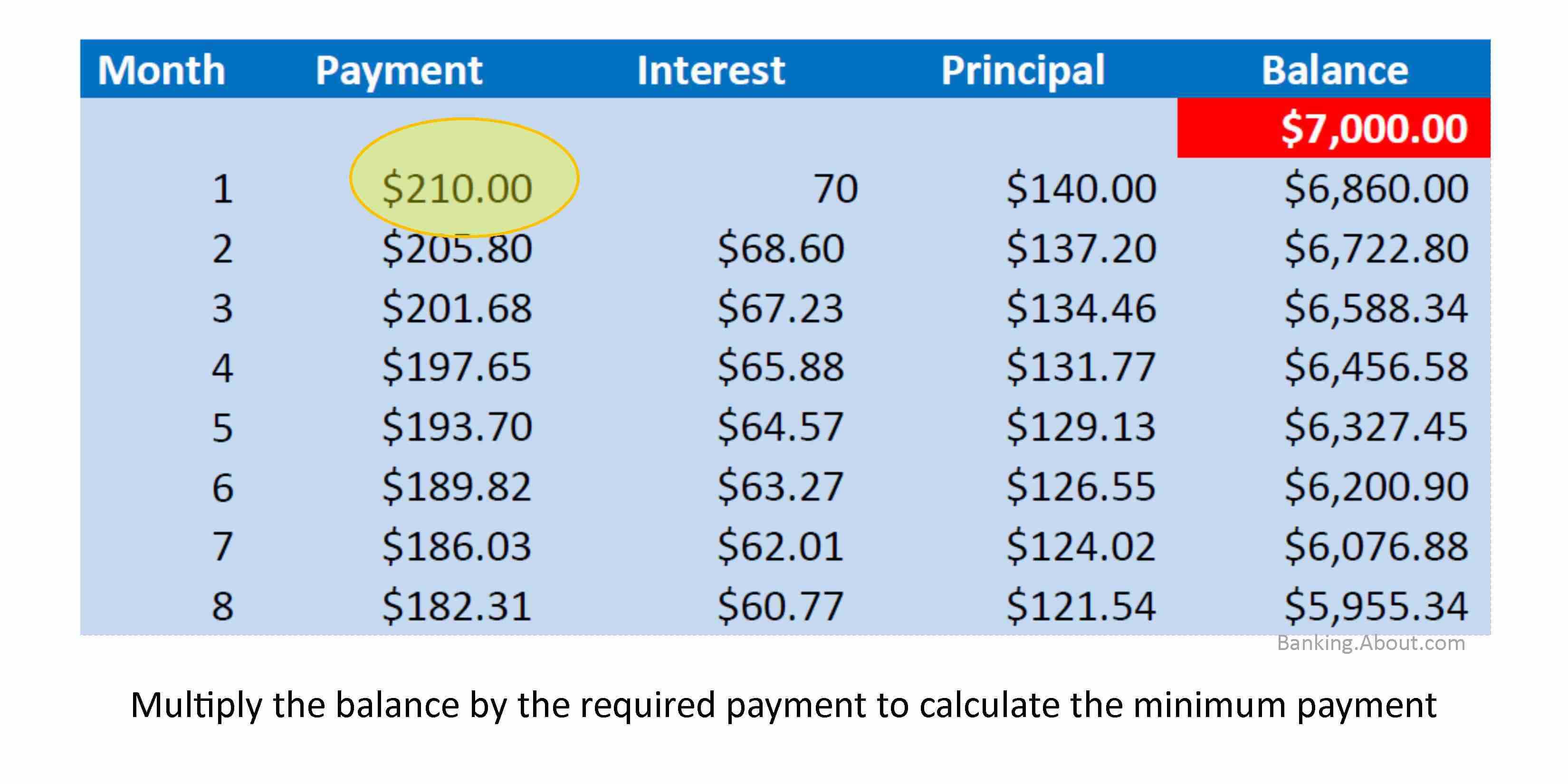 Calculate Credit Card Payments & Costs For Credit Card Payment Plan Template