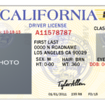 California Drivers License Template | California In 2019 Intended For Blank Drivers License Template