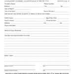Car Accident Report Template – Verypage.co Throughout Motor Vehicle Accident Report Form Template