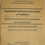 Carte Jaune – Wikipedia For Certificate Of Vaccination Template