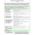 Case Report Template – Cnbam Regarding Funding Report Template