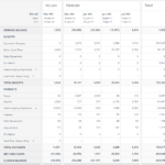 Cash Flow Forecasting Template Inside Cash Position Report Template