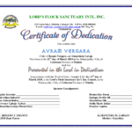 Certificate Of Dedication | Children's Ministry | Baby For Baby Dedication Certificate Template