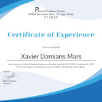 Certificate Of Experience Template – Bizoptimizer Pertaining To Certificate Of Experience Template