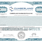 Certificate Of Shares Template 14 – Elsik Blue Cetane With Regard To Corporate Bond Certificate Template