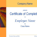 Certificate Of Training Completion Template With Regard To Free Training Completion Certificate Templates