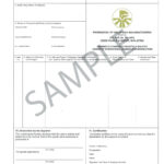 Certificate Origin Template Usa Nafta Of Form Us Word With Regard To Certificate Of Origin Form Template