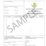 Certificate Origin Template Usa Nafta Of Form Us Word Within Nafta Certificate Template