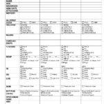 Charge Nurse Report Sheet Sample | Nursing Documents | Nurse Within Nursing Shift Report Template