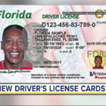Check Out Florida's New Driver's Licenses And Id Cards For Florida Id Card Template