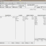 Check Stub Template | Template Business With Pay Stub Template Word Document
