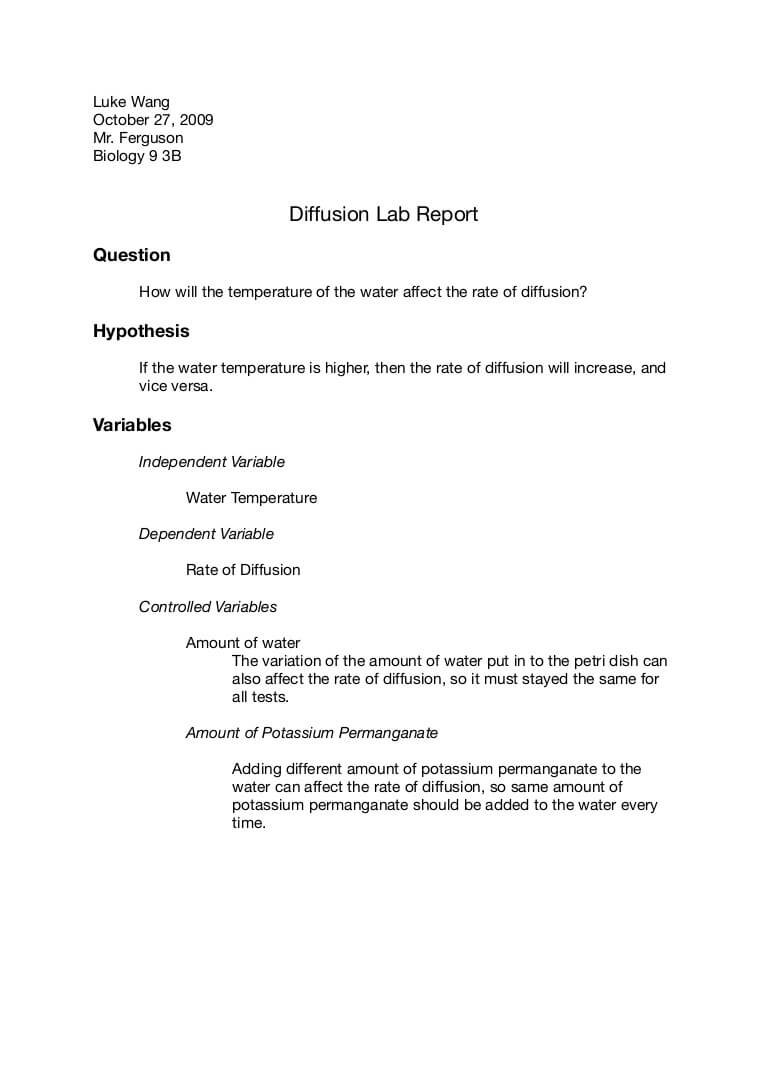 Chemistry Lab Report Outline – Great College Essay Throughout Lab Report Template Chemistry