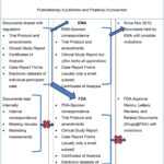 Clinical Evaluation Report Guidelines Template Rev Mdd With Regard To Case Report Form Template Clinical Trials