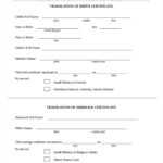 Colombian Birth Certificate Translation Template Translate Inside Birth Certificate Translation Template