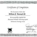 Course Completion Certificate Sample New Free Course Pletion Throughout Training Certificate Template Word Format