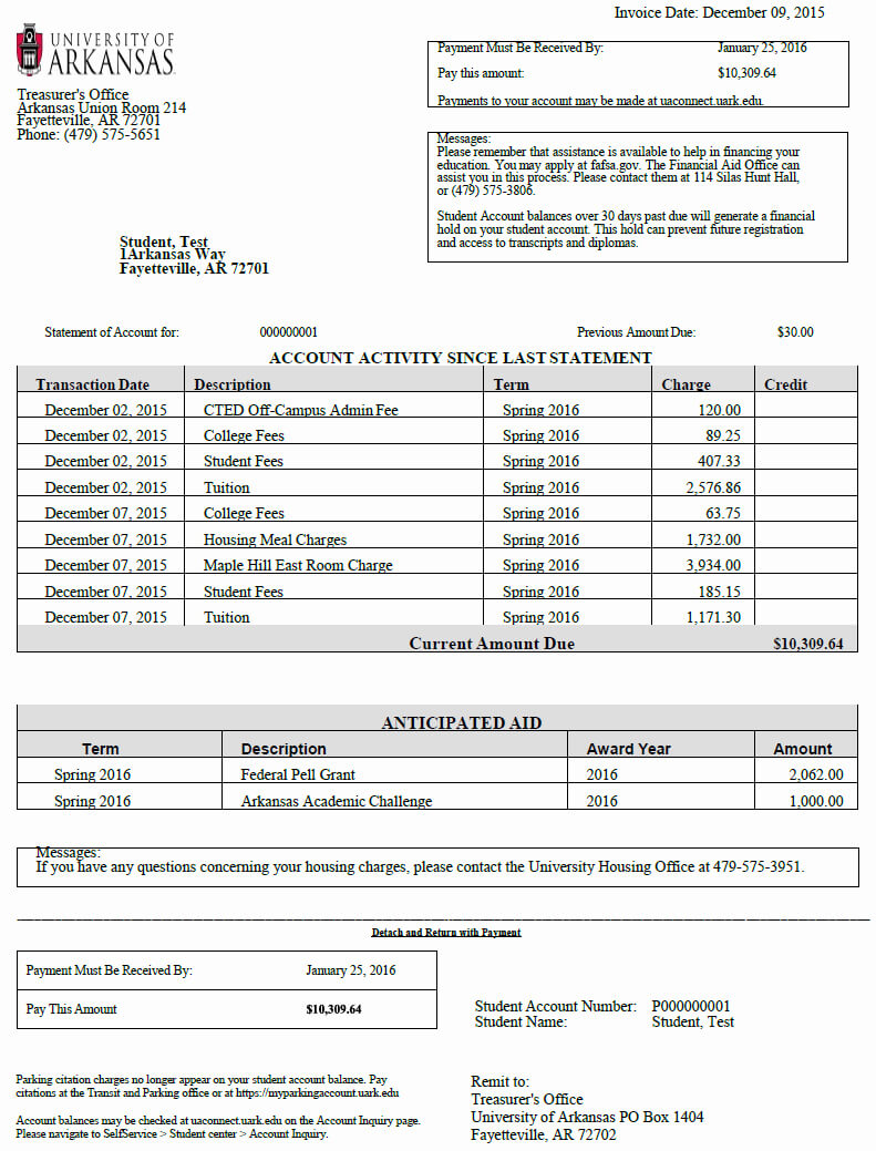 Credit Card Statement Template | Wesleykimlerstudio Throughout Credit Card Statement Template