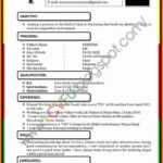 Curriculum Vitae Template Word 2007 – Sere.selphee | Resume Inside Resume Templates Word 2007