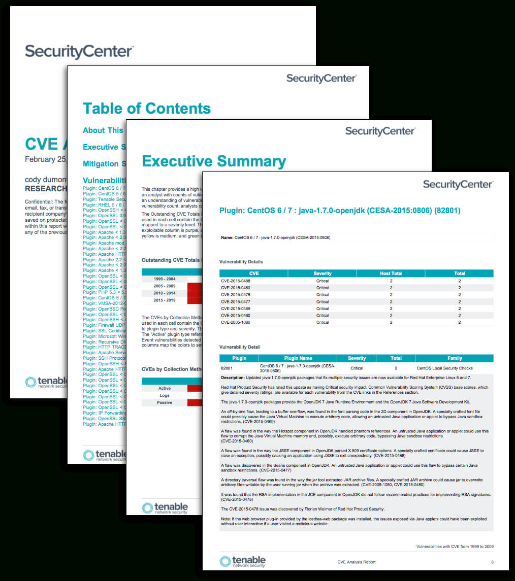 Cve Analysis Report - Sc Report Template | Tenable® Within Information Security Report Template