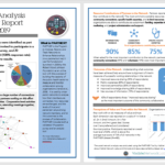 Cyberlabe — Network Analysis Report Example With Network Analysis Report Template