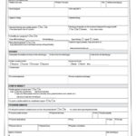Dd Form 2501 Courier Authorization Card Pdf 250 Continuation Intended For Dd Form 2501 Courier Authorization Card Template