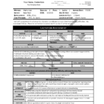 Doctor Report Template—Non Custom Header Regarding State Report Template