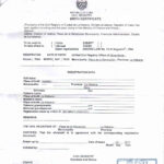 Document Translation – Cubacityhall Regarding Birth Certificate Translation Template