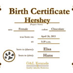Dog Birth Certificate Template Puppy Birth Certificates Throughout Service Dog Certificate Template