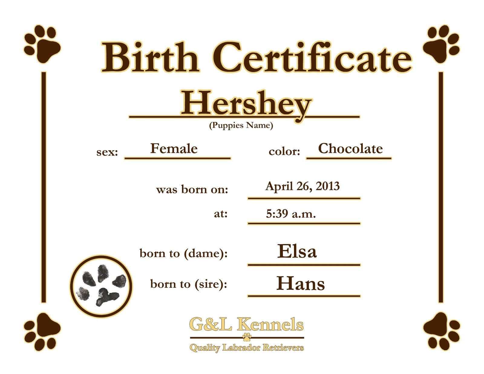 Dog Birth Certificate Template Puppy Birth Certificates Throughout Service Dog Certificate Template