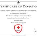 Donation Appreciation Certificate Template – Www.biomestry2.tk Intended For Donation Certificate Template