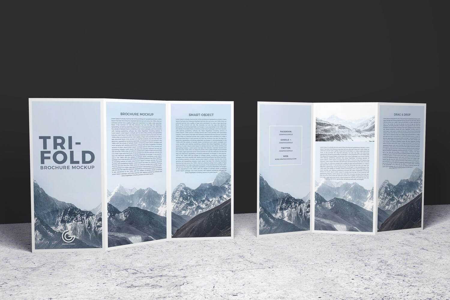 Double Sided Tri Fold Brochure Psd Mockup | Brochure Mockups Inside Double Sided Tri Fold Brochure Template