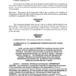 Download Corporate Bylaws Style 11 Template For Free At Inside Corporate Bylaws Template Word