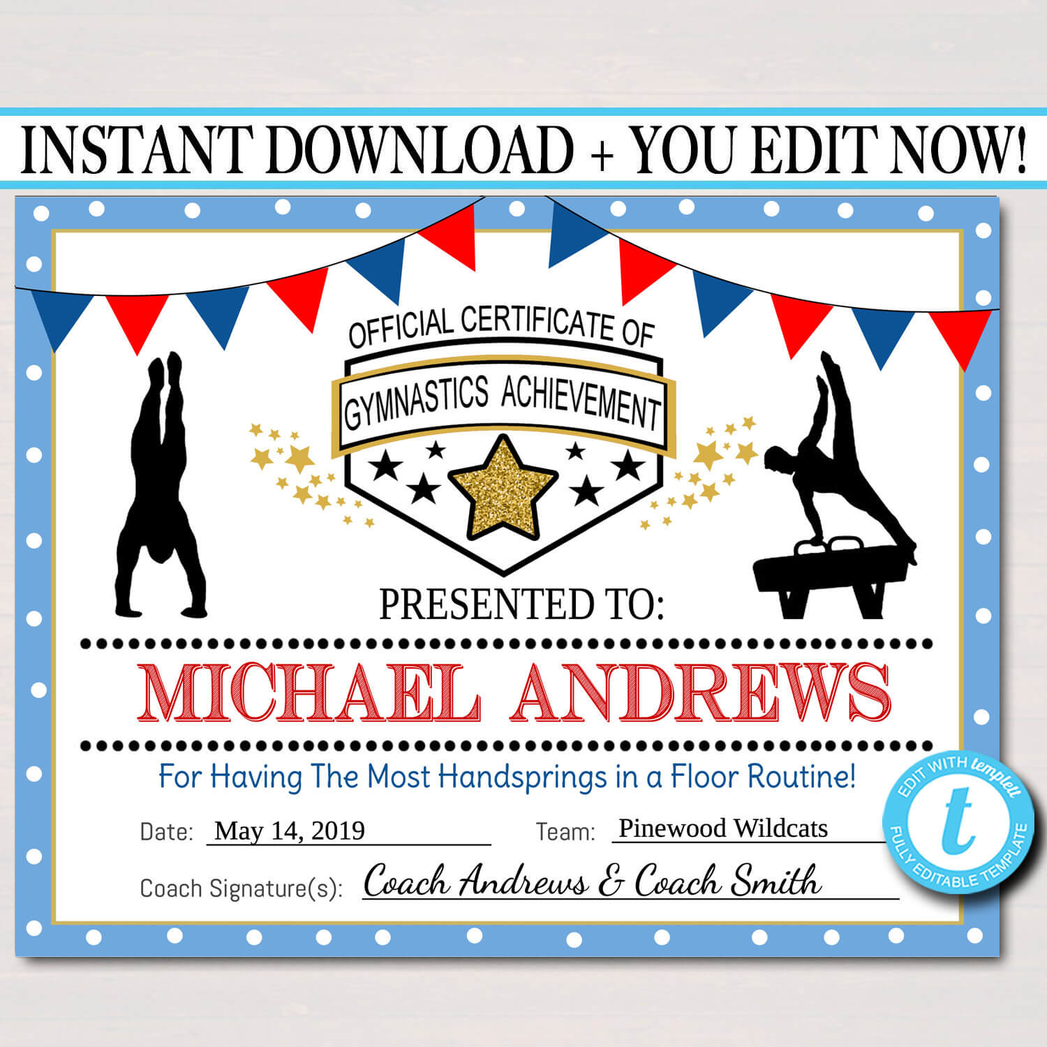 Editable Gymnastics Certificates, Instant Download Gymnastics Team Awards,  Gymnastics Party Printable, Printable Gymnast Certificate Awards Within Gymnastics Certificate Template