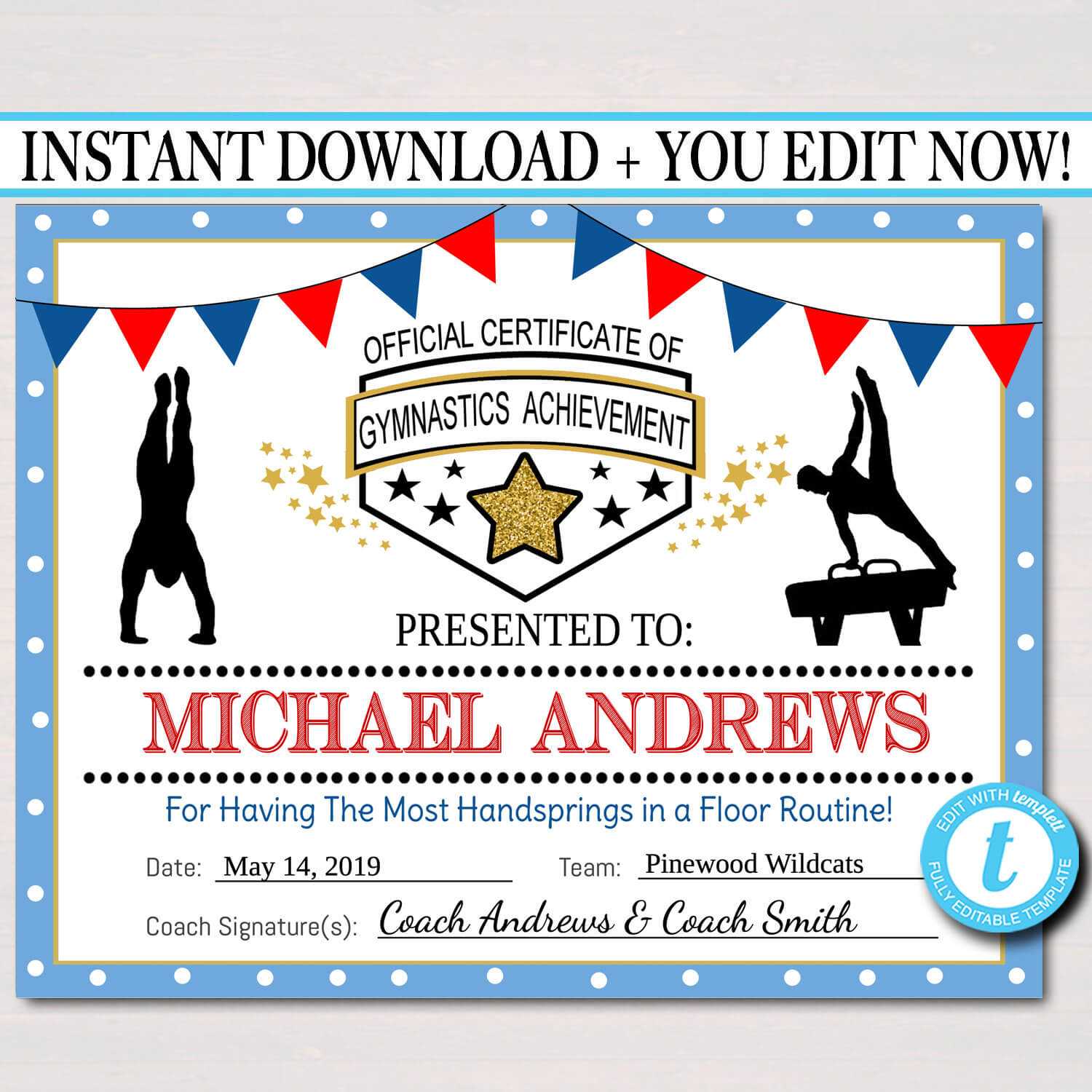 Editable Gymnastics Certificates, Instant Download Gymnastics Team Awards,  Gymnastics Party Printable, Printable Gymnast Certificate Awards Within Gymnastics Certificate Template