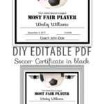 Editable Pdf Sports Team Soccer Certificate Diy Award Within Soccer Certificate Template