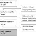 Effect Of Coronary Anatomy And Hydrostatic Pressure On For Hydrostatic Pressure Test Report Template