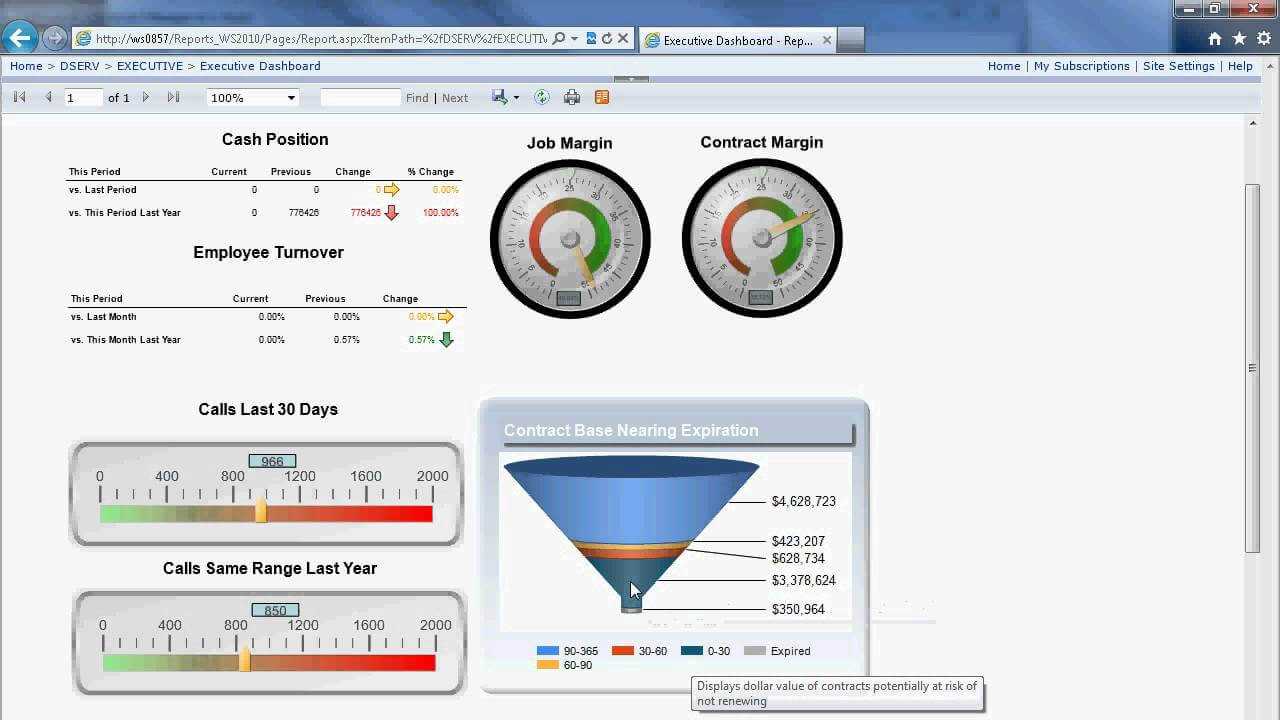 Executive Dashboard With Ssrs Regarding Report Builder Templates