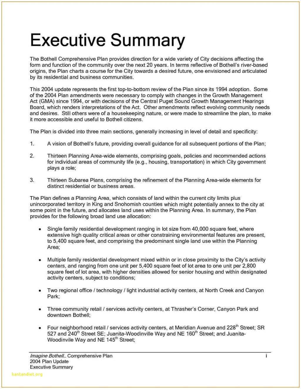 Executive Management Report Template Wosing Us Design Within In Report To Senior Management Template