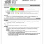 Executive Report Template | Meetpaulryan Throughout Executive Summary Project Status Report Template