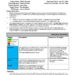 Executive Sales Manager Report Example Monthly Report With Sales Representative Report Template