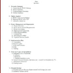 Executive Summary Report Sample Internship Example For Throughout Executive Summary Report Template