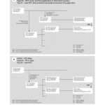 Expert Witness Statement Example And Expert Witness Report Intended For Expert Witness Report Template
