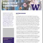 Fact Sheet | Uw Brand Pertaining To Fact Card Template